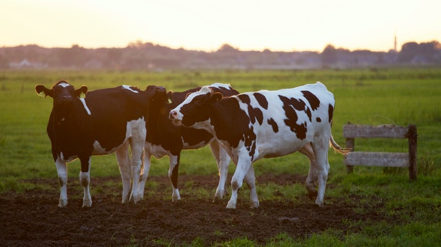 Federal Senate Bill 2332 – Farm System Reform Act